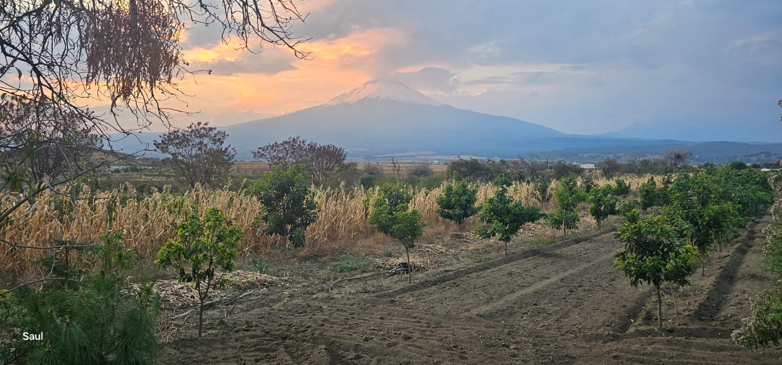Vista de terreno 2
