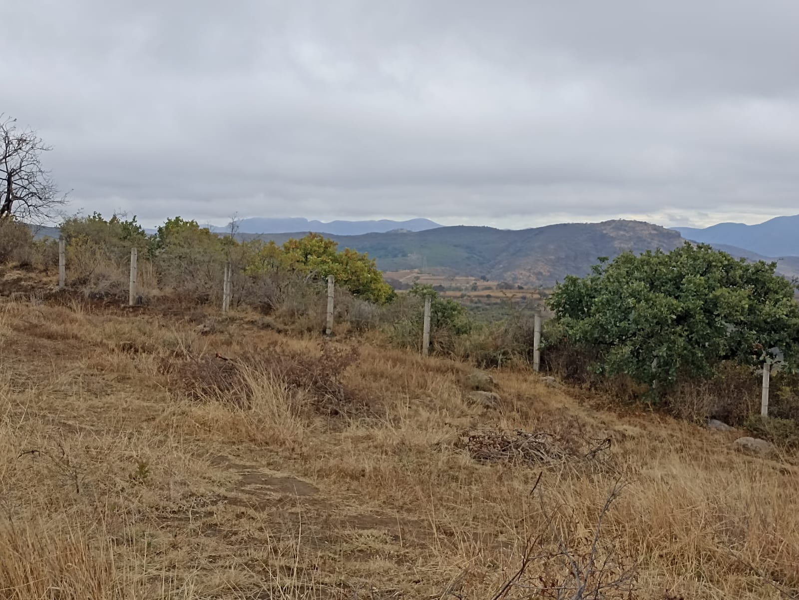 Vista de terreno 6